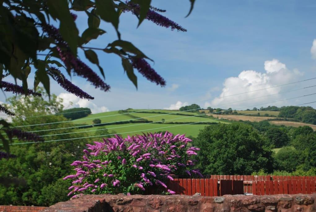 Vakantiehuis Barn Conversion Near The Coast